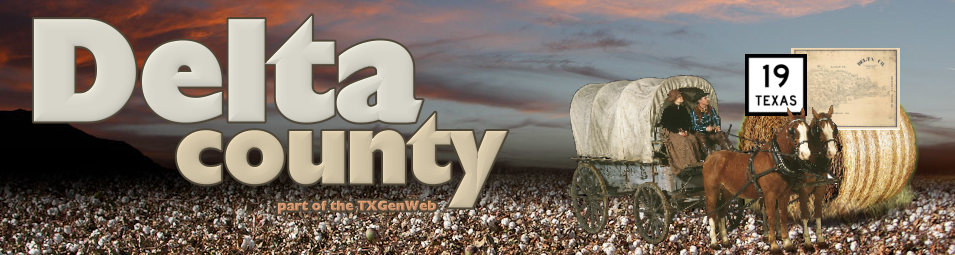 Delta County banner