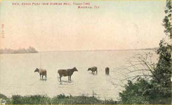 CaddoLakeViewFromBurningWell1909