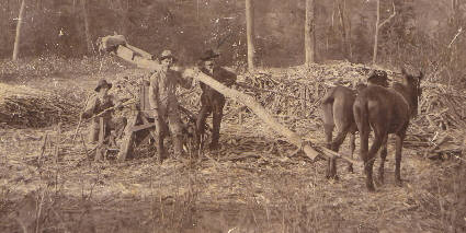 Johnnie Brown, Arthur Chapman, and Alva Brooks, Panola County, Texas